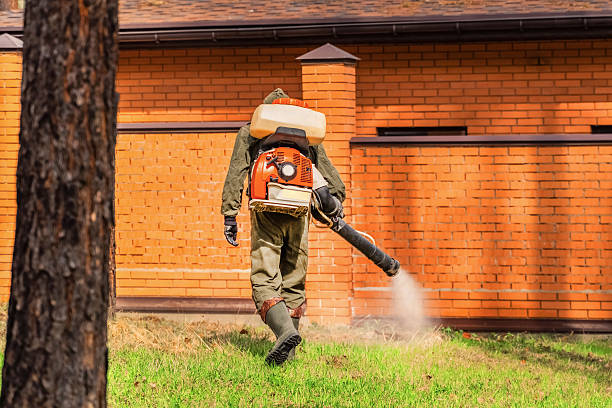 Trusted Emergency Pest Control service in Morton, PA - Nex Pest Control